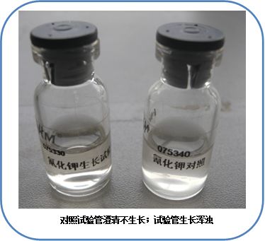 食品微生物检验沙门氏菌检验常用培养基原理解析
