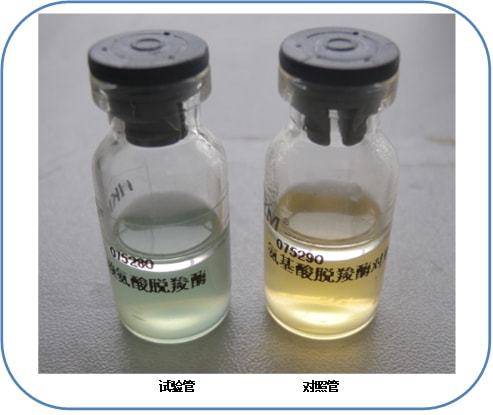 沙门氏菌检验常用培养基原理解析与现代微生物菌剂应用