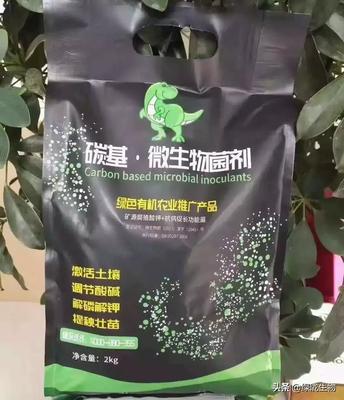 微生物菌剂是如何解决土传病害的?
